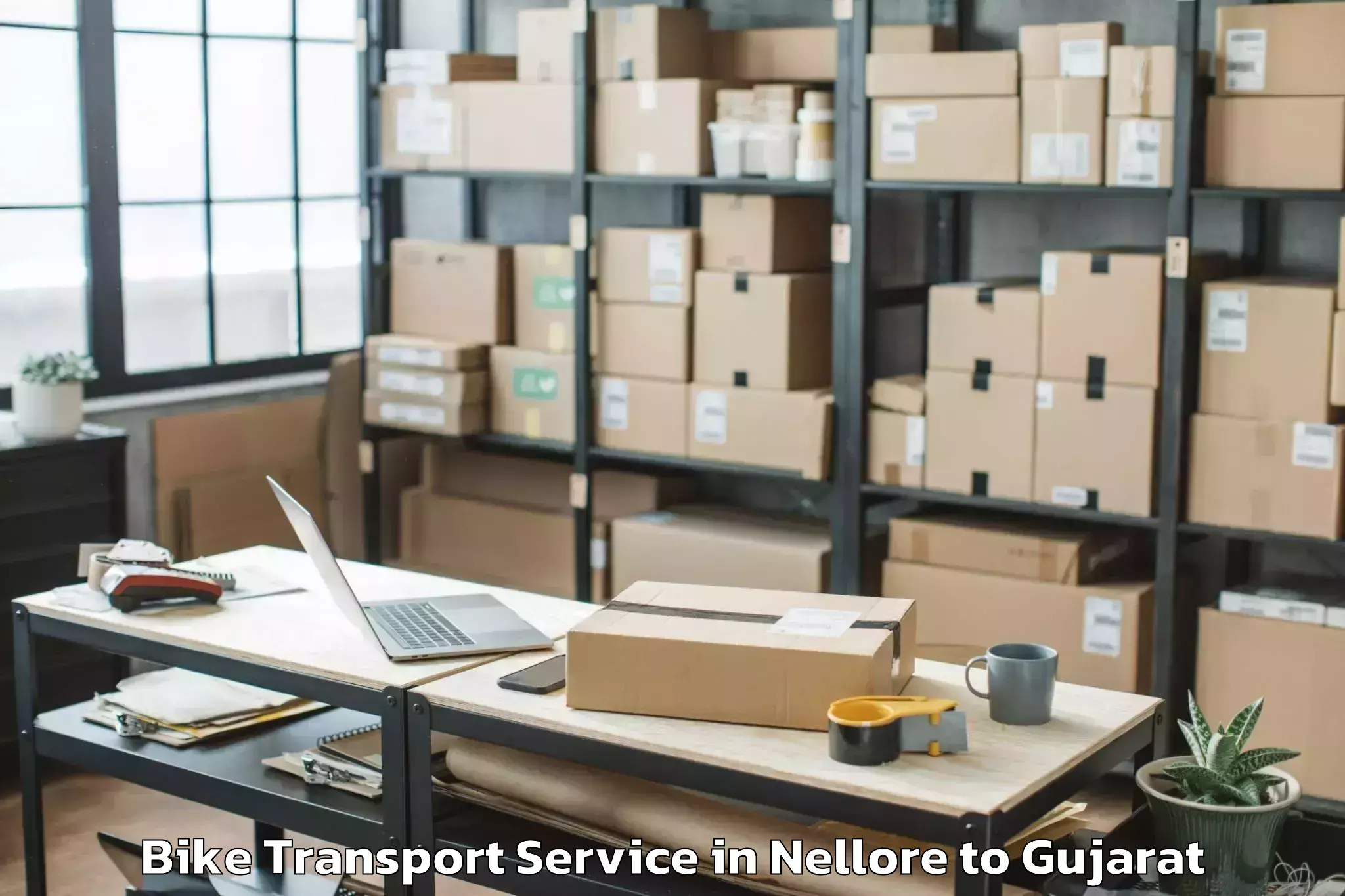 Top Nellore to Netrang Bike Transport Available